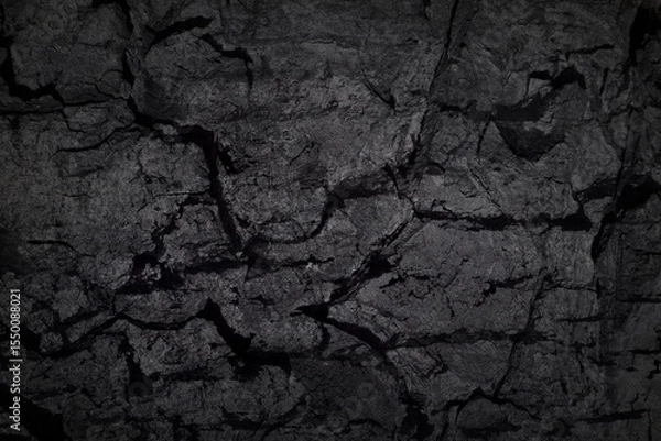 Fototapeta Texture of black tree bark, trunk, coal background. Dark wallpaper with rough cracked texture. Wooden wall concept, smoking wood plank backdrop. Abstract surface mockup. Top view, close up, copy space