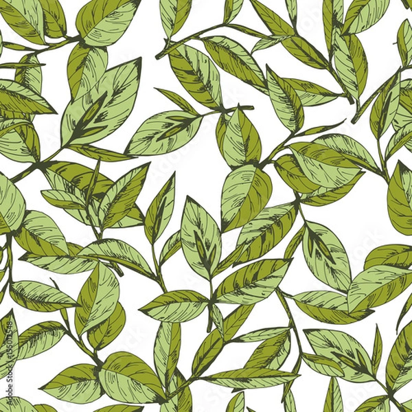 Obraz seamless pattern with green tea, hand-drawn leaves and branches of tea