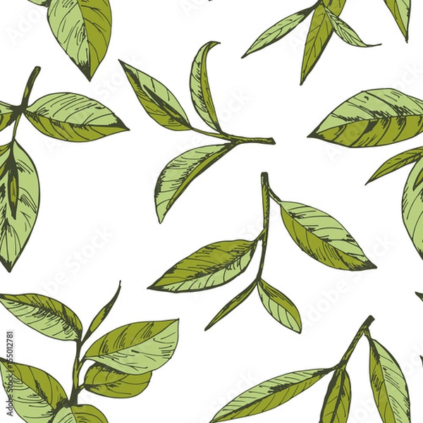 Fototapeta seamless pattern with green tea, hand-drawn leaves and branches of tea