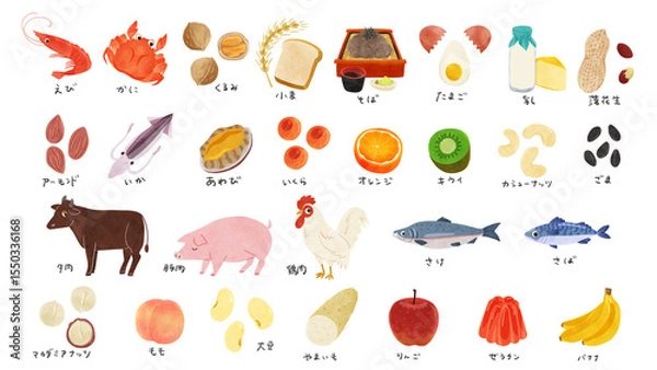 Fototapeta 特定原材料28品目セット　水彩風手描きイラスト