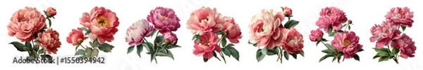 Fototapeta PNG Vintage floral border design, element set on transparent background