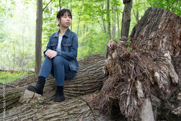 Fototapeta A young teenage girl in denim sits calmly on a fallen tree in a lush green forest, gazing off thoughtfully, surrounded by greenery.