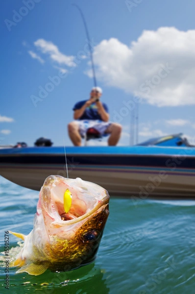 Fototapeta Wędkarstwo sportowe