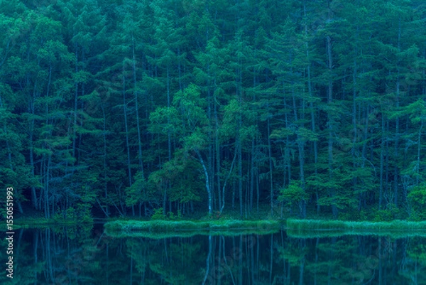 Fototapeta Mishaka Pond with green trees reflection early in the morning.