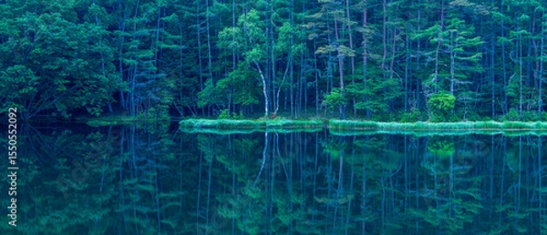 Fototapeta Mishaka Pond with green trees reflection early in the morning.