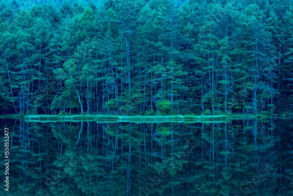 Fototapeta Mishaka Pond with green trees reflection early in the morning.
