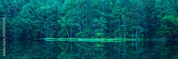 Fototapeta Mishaka Pond with green trees reflection early in the morning.