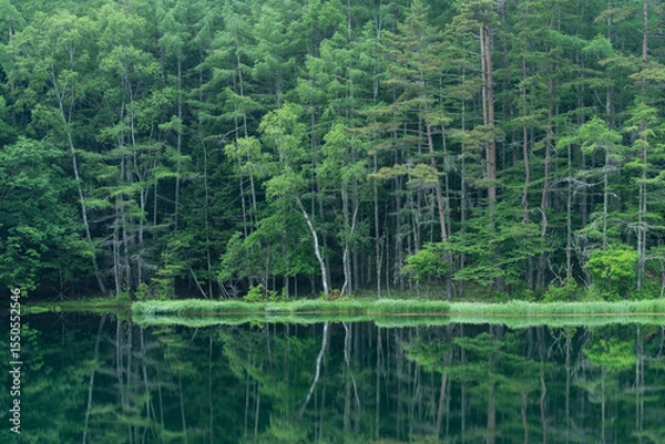 Fototapeta Mishaka Pond with green trees reflection early in the morning.