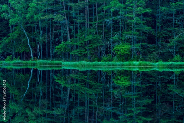 Fototapeta Mishaka Pond with green trees reflection early in the morning.