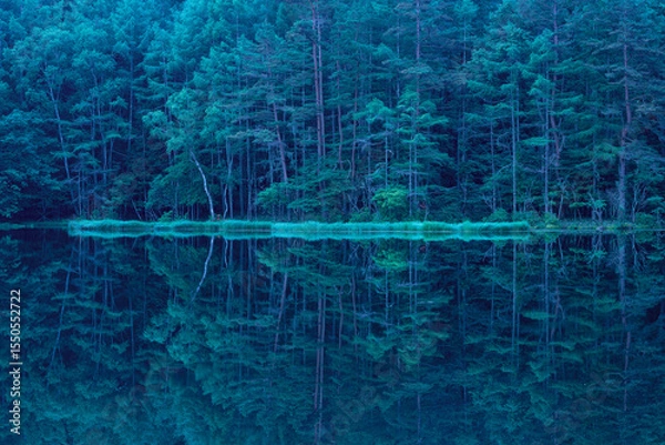 Fototapeta Mishaka Pond with green trees reflection early in the morning.