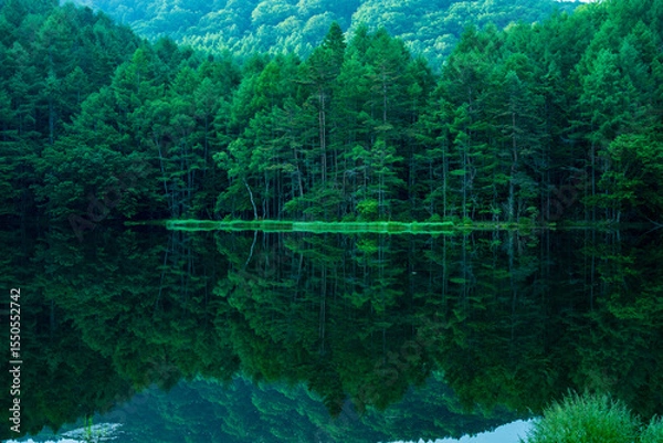 Fototapeta Mishaka Pond with green trees reflection early in the morning.