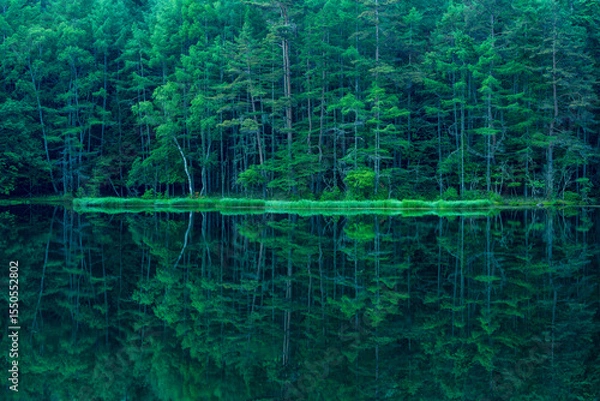 Fototapeta Mishaka Pond with green trees reflection early in the morning.