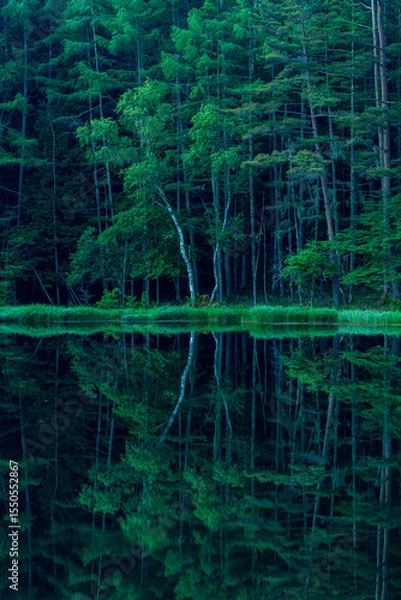 Fototapeta Mishaka Pond with green trees reflection early in the morning.