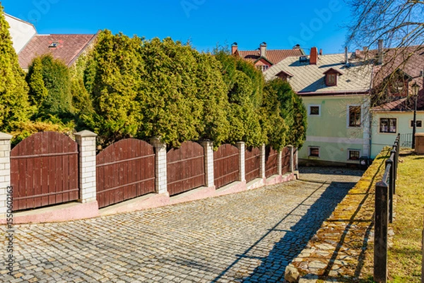 Fototapeta Charming suburban street with cobbled path and lush foliage in bright daylight