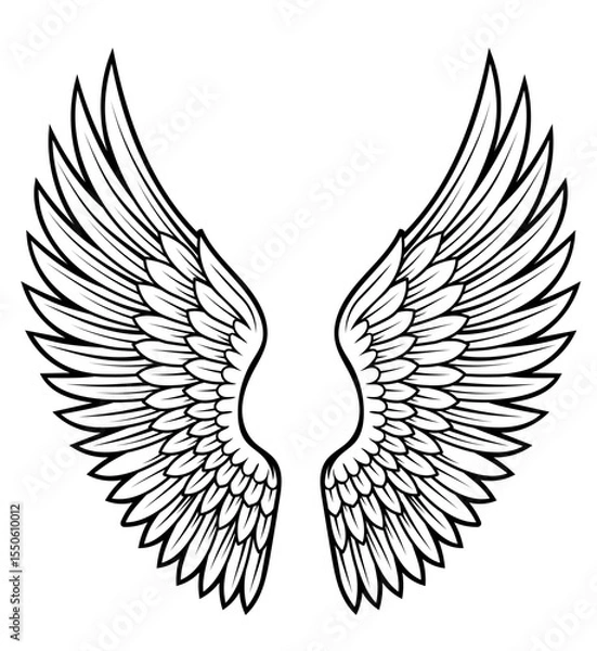 Obraz The wings of a bird are shown in black and white