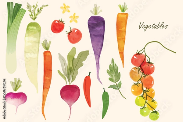 Obraz Set of vegetables colorful watercolor a bunch of freshly picked summer carrots, radish, tomatoes, chillies and beetroot isolated on a white background. Root vegetables watercolor.