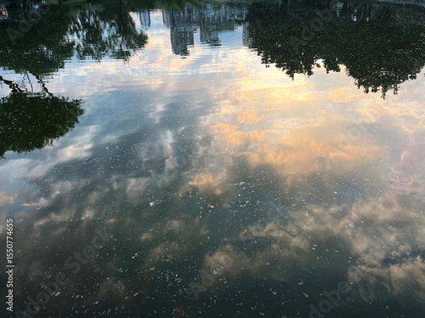 Fototapeta Trees, buildings and clouds reflection on water surface at sunset.
