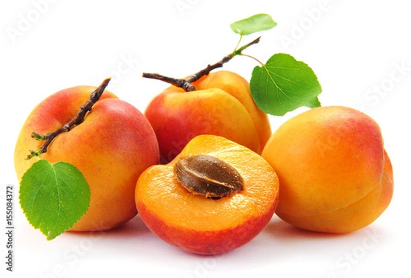 Obraz Apricot fruit with leaves on the white background.