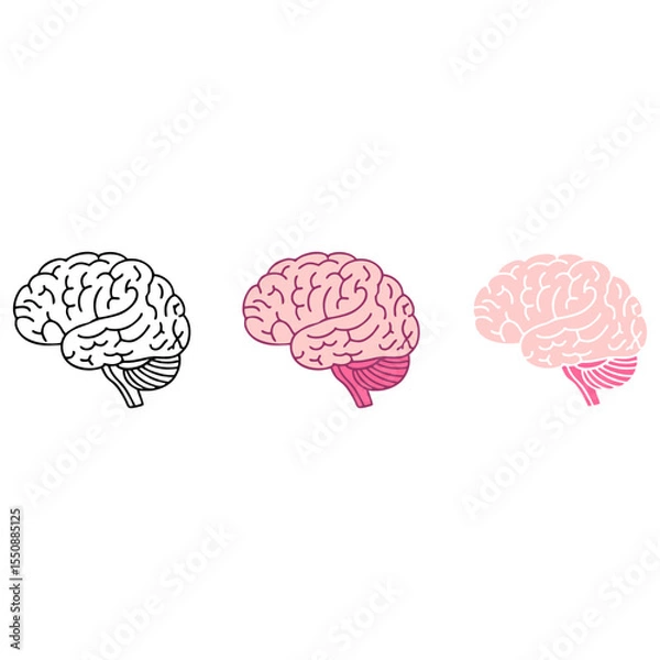 Fototapeta Three Human Brain Icons in Monochrome and Pink Vector Hand-Drawn Style