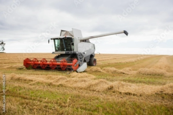 Fototapeta View of a harvester on a field