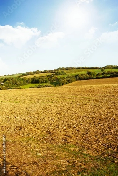 Fototapeta Plowed field furrows are stretching across flat design rural scene, with hedgerows and wooded hills