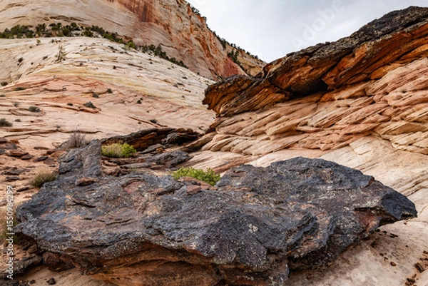 Fototapeta Zion National Park, Utah. Navajo Sandstone / Sedimentary rocks, Weathering.  iron-rich layers / Iron-rich sedimentary rocks / ironstone blocks, 