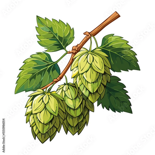 Obraz Hop cones on a branch color vector illustration. Image of an ingredient for beer with leaves on an isolated background. For packaging and design