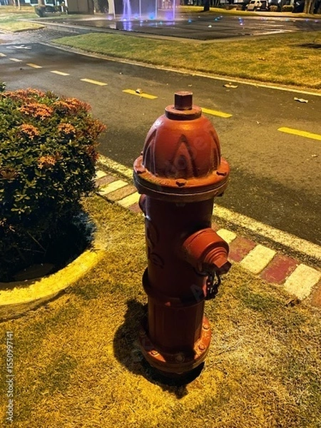 Obraz red fire hydrant