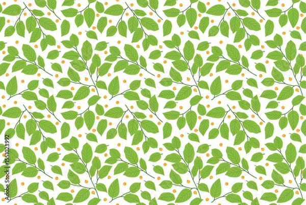 Obraz Leaf  floral nature pattern vector art background wallpaper