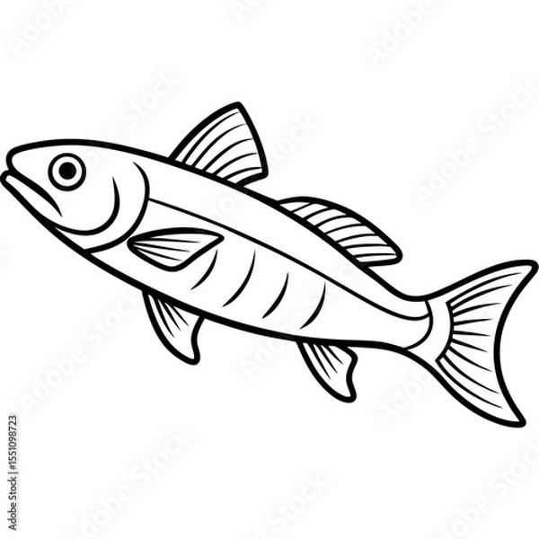 Obraz Simple Zander Fish Contour Illustration