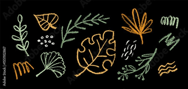 Fototapeta Tropical leaf vector crayon set. Childish doodle elements hand drawn on blackboard. Chalk or pastel textured lines