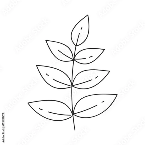 Fototapeta Hand drawn floral design. Vertical twig with oval leaves on both sides. Simple botanical design element in linear doodle style. Vector 10 EPS.