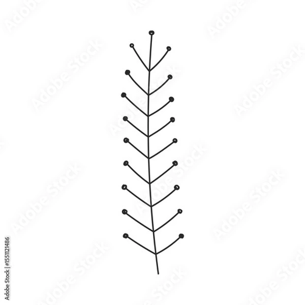 Fototapeta Hand drawn floral design. Delicate vertical twig with sparse branches. Simple botanical design element in linear doodle style. Vector 10 EPS.