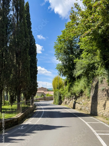 Fototapeta old town winding road lined with cypress trees and a stone wall under a blue sky with. Tuscan old cities