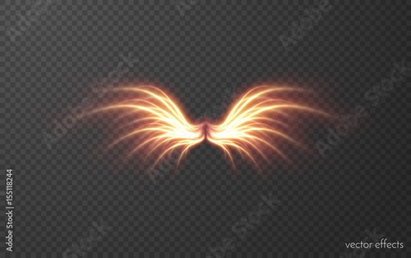 Fototapeta Glowing wing vector effect