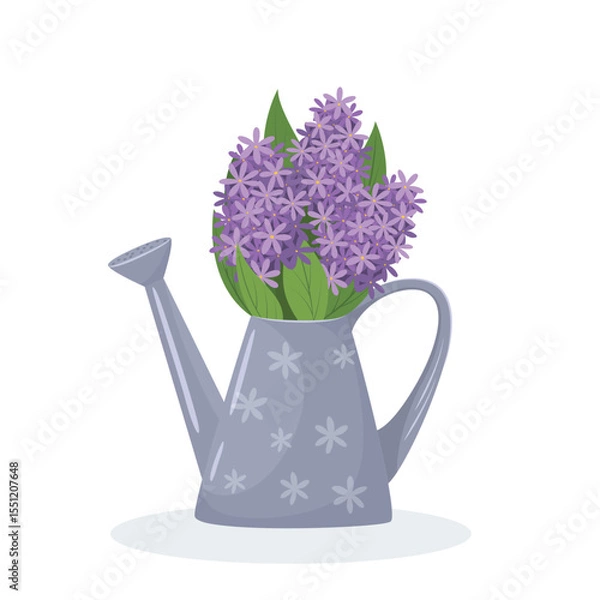 Fototapeta Vector illustration of a watering can with purple tulips isolated on a white background. Concept of healthy eating, spring gardening, farming. Floral arrangement. 
