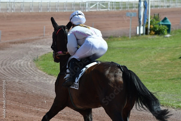 Fototapeta course hppique en trot monté