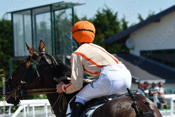 Fototapeta course hppique en trot monté
