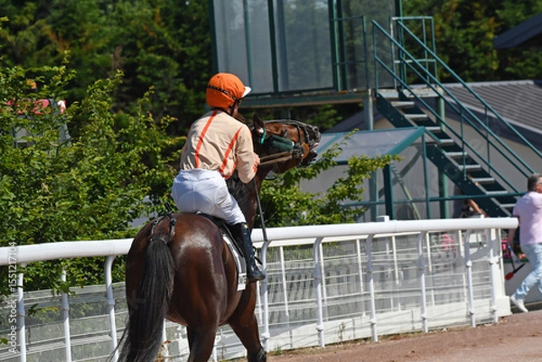 Fototapeta course hppique en trot monté