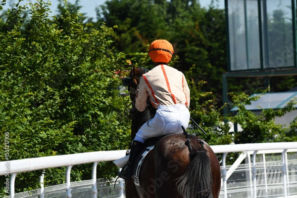 Fototapeta course hppique en trot monté