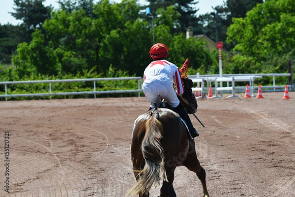 Fototapeta course hppique en trot monté