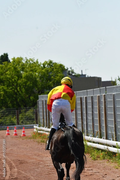Fototapeta course hppique en trot monté