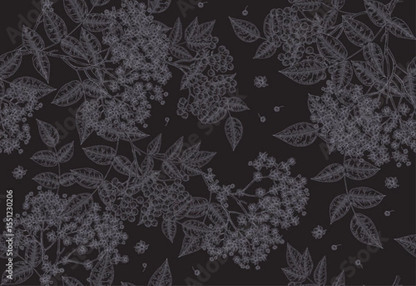 Obraz Elderflower seamless pattern. Elder flowers and berries on dark background. Vector illustration hand drawn.
