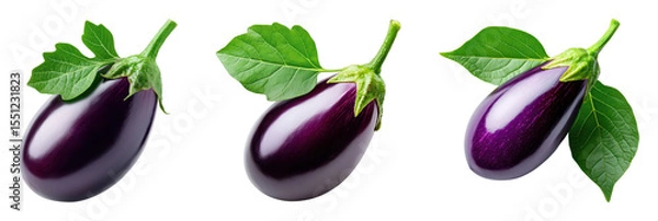 Obraz Fresh eggplants with green leaves on a black background