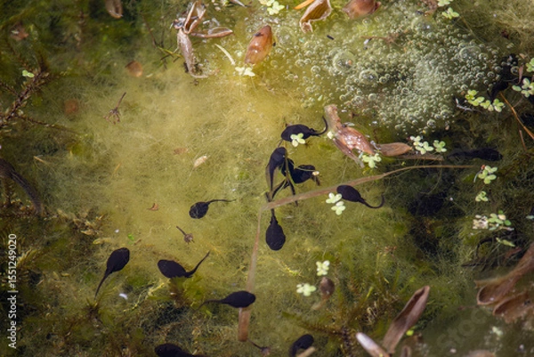 Obraz abstract grunge background in UK