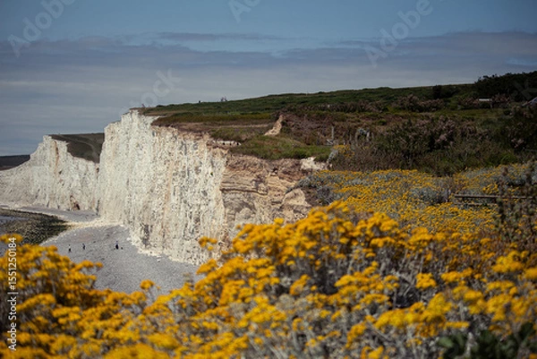 Obraz seven sisters in UK