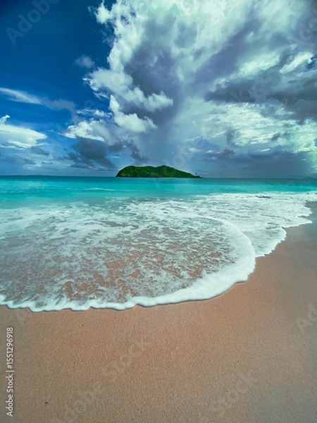 Fototapeta tropical beach with palm trees