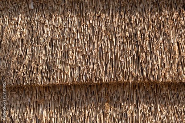 Fototapeta Close-up of a traditional thatched roof with tightly bound straw. The handcrafted roof demonstrates structure and rustic construction.