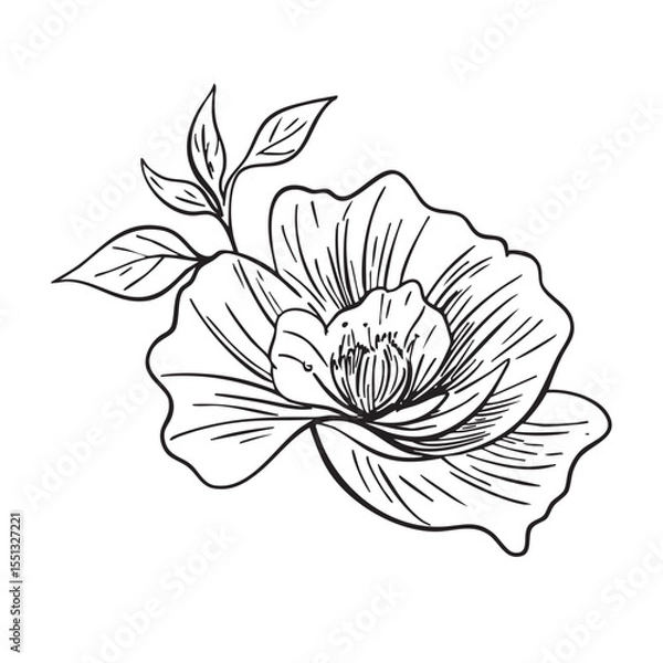 Fototapeta Hand drawn abstract flower and branch. Vector illustration. Black and white. Flower vintage sketch. Engraved image for desin, packaging, flyer