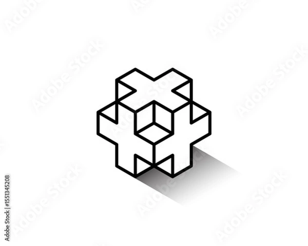 Obraz Simple 3d wire frame outline Grayscale Isometric X or Plus + Sing Cube Logo Design